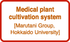 Medical plant cultivation system