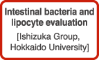 Intestinal bacteria and lipocyte evaluation