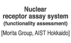 Nuclear receptor assay system
